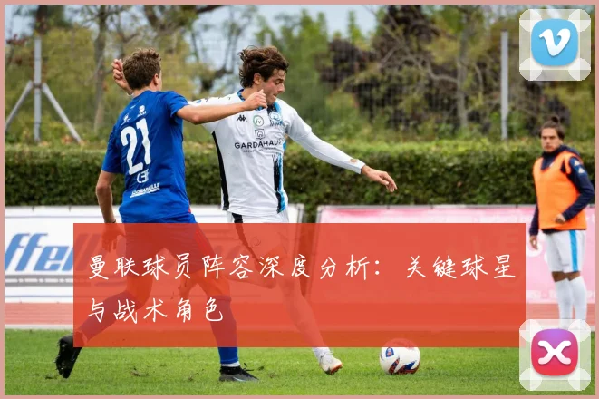 曼联球员阵容深度分析:关键球星与战术角色
