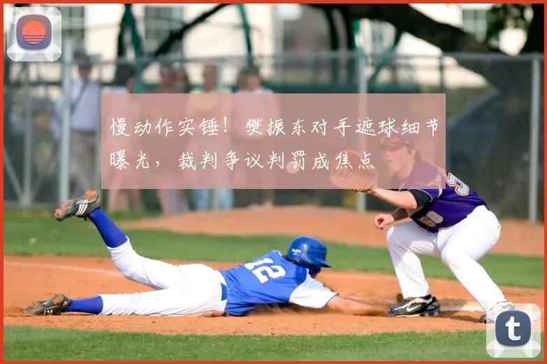 慢动作实锤!樊振东对手遮球细节曝光,裁判争议判罚成焦点
